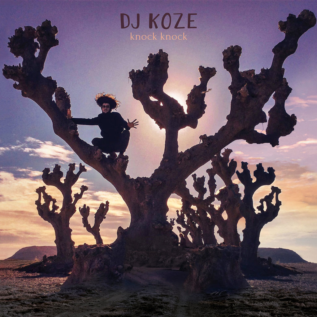 DJ Koze - knock knock